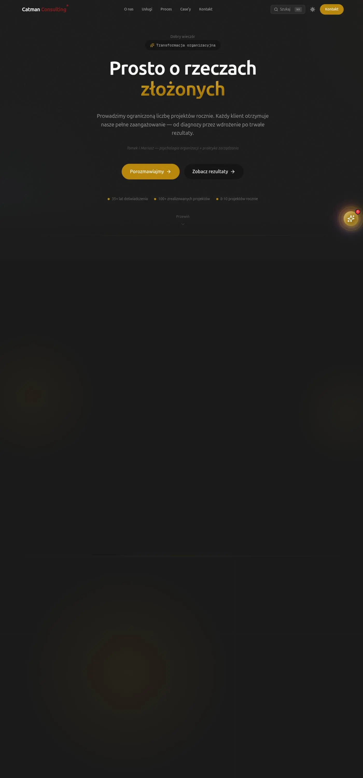 Catman Consulting — screenshot strony