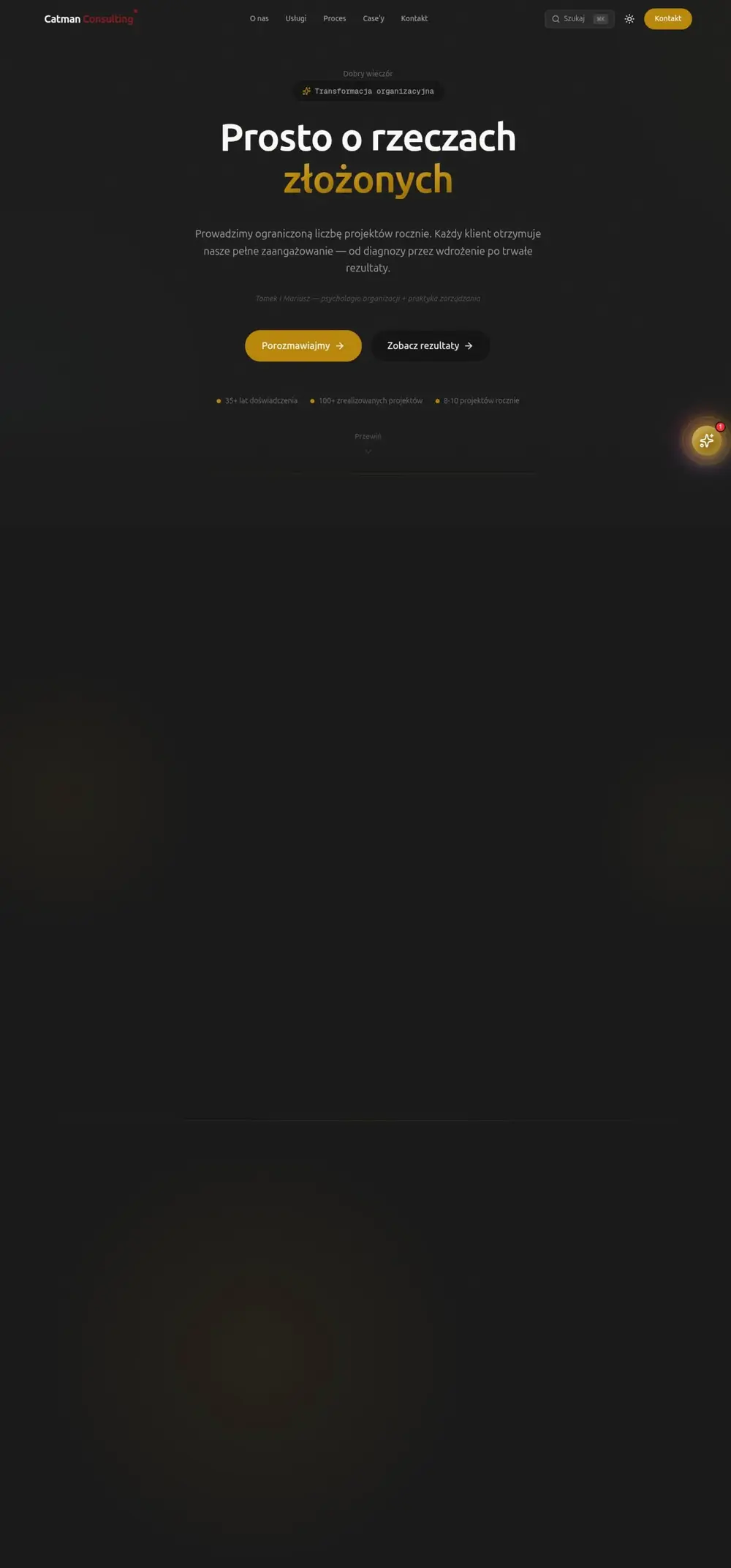 Catman Consulting — screenshot strony